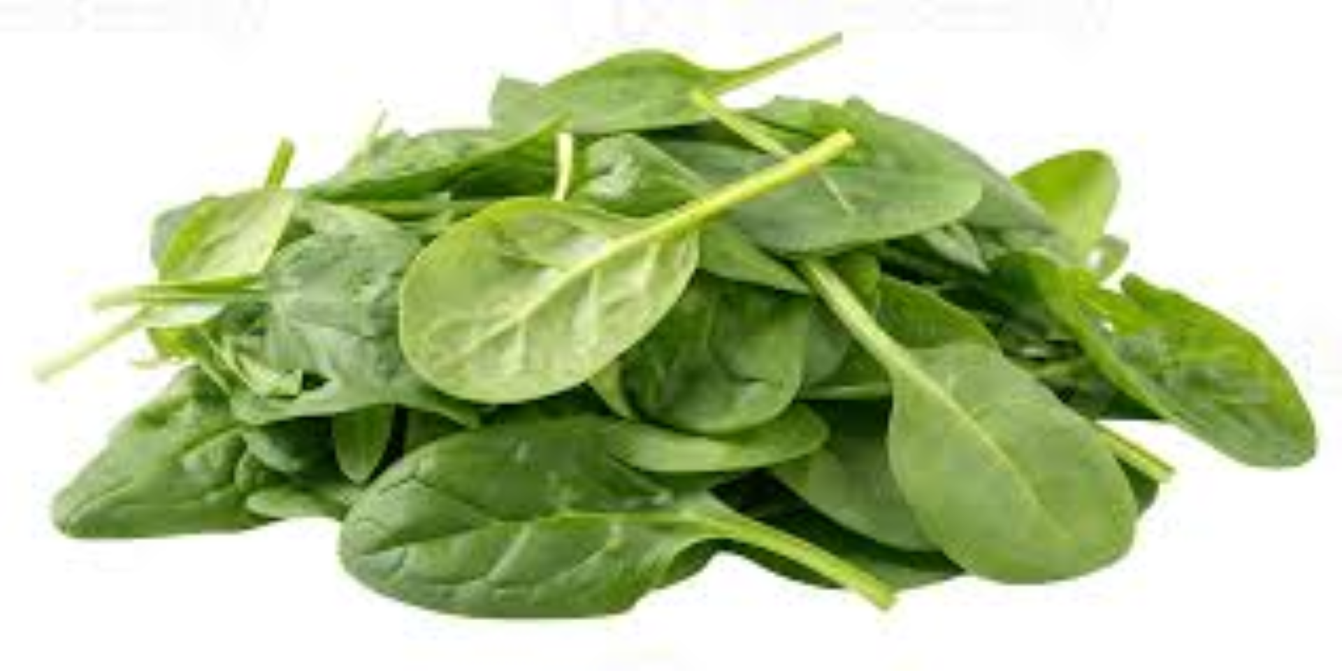 FRESH BABY SPINACH
